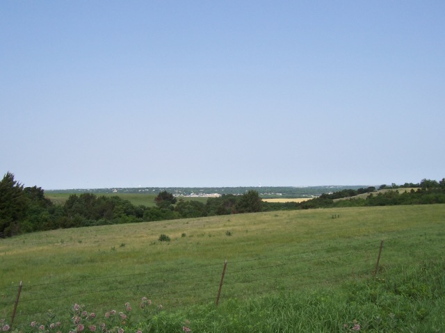Tallgrass Prairie View