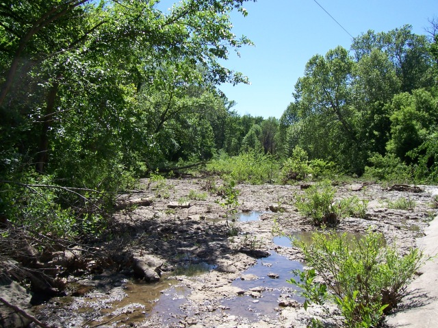 A Kansas stream